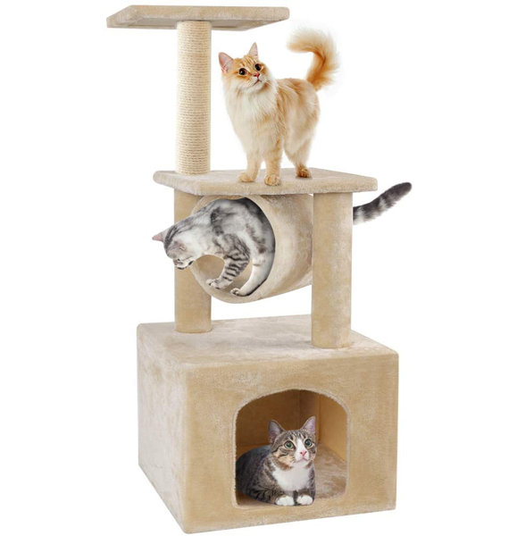 Tucker Murphy™ Pet 37 Inch Cat Trees And Towers Cat Condo For Kittens